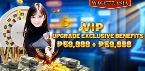 VIP Upgrade Exclusive Benefits ₱59,888 + ₱59,888